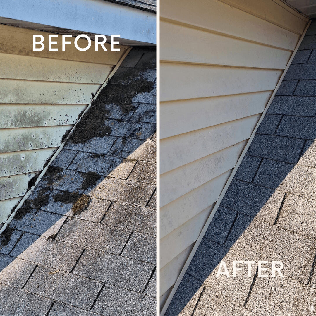 Roof moss cleaning Roof moss cleaning