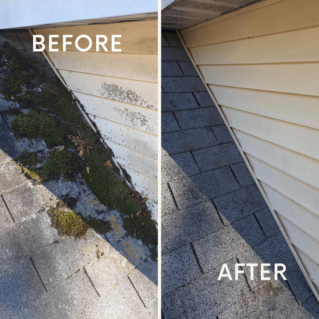 Roof moss cleaning